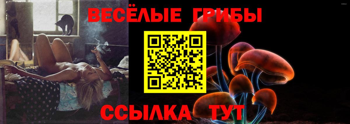 Псилоцибиновые грибы прущие грибы  Псилоцибиновые грибы прущие грибы  Вход с VPN  как найти закладки  Тара 